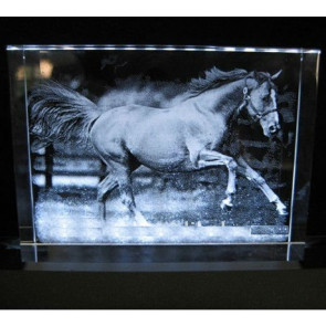 Souvenir cheval verre 3D